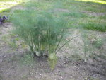 DSCN7359.JPG