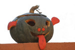 citrouille.jpg