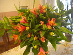 DSCN7348.JPG