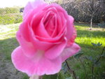 DSCN7354.JPG