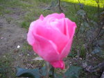 DSCN7353.JPG