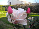DSCN7355.JPG