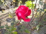 DSCN7362.JPG