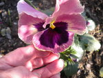 DSCN7373.JPG