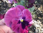 DSCN7372.JPG