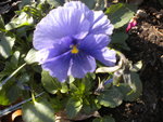 DSCN7364.JPG