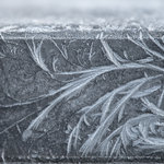 fleur de glace (1 sur 1).jpg