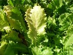 P1020160.JPG