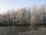 Xgivre glace et givre.JPG