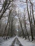 Les paysages plutôt à ça.