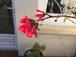 IMG_0523.JPG