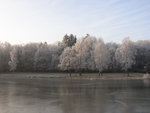 Berge d'étang.JPG