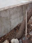 IMG_20170122_154218521_1.jpg