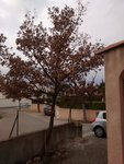 IMG_20170122_154328675_1.jpg
