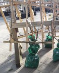 20170129_113300.jpg
