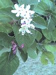 Photo 0039.jpg