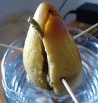 DSC00872.JPG