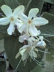 Photo 0040.jpg