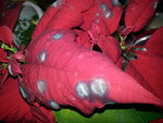 20170205_184826.jpg