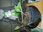 20170209_070416.jpg