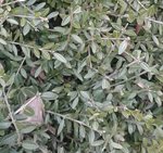 20170210_225425.jpg