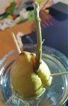 DSC00884.JPG