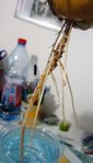 DSC00891.JPG