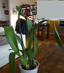 DSC08347.JPG