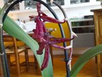 DSC08348.JPG
