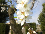 DSCN7410.JPG