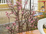 DSCN7403.JPG