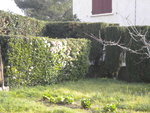 DSCN7408.JPG