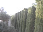 DSCN7405.JPG