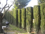 DSCN7404.JPG