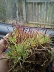 IMG_20170220_162802 2.jpg
