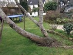IMG_0333.jpeg