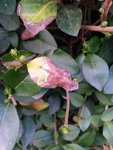 2017-02-24 18.07.47.jpg