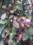 2017-02-24 18.08.15.jpg