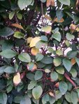 2017-02-24 18.08.19.jpg