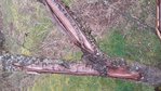 20170301_114158.jpg