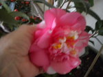 DSCN7416.JPG