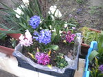 DSCN7418.JPG
