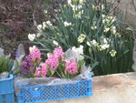 DSCN7424.JPG