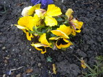 DSCN7425.JPG