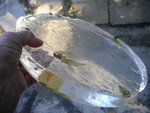 DSCN7390.JPG