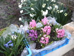DSCN7419.JPG