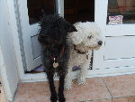 Images appareil photo 532.jpg