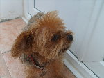 Images appareil photo 445.jpg