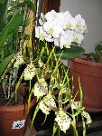 IMG_0219.JPG