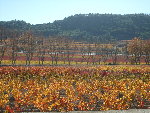 Images appareil photo 282.jpg